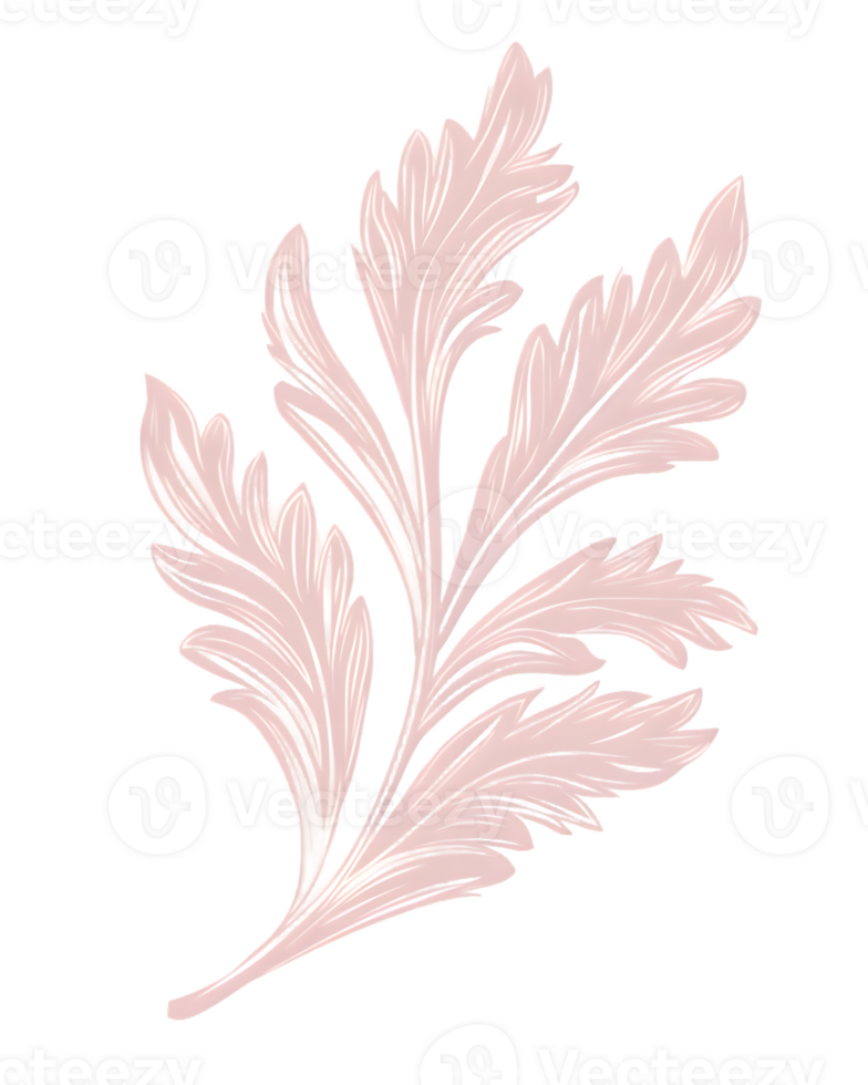 Delicate Pink Leaf Illustration on Transparent Background png