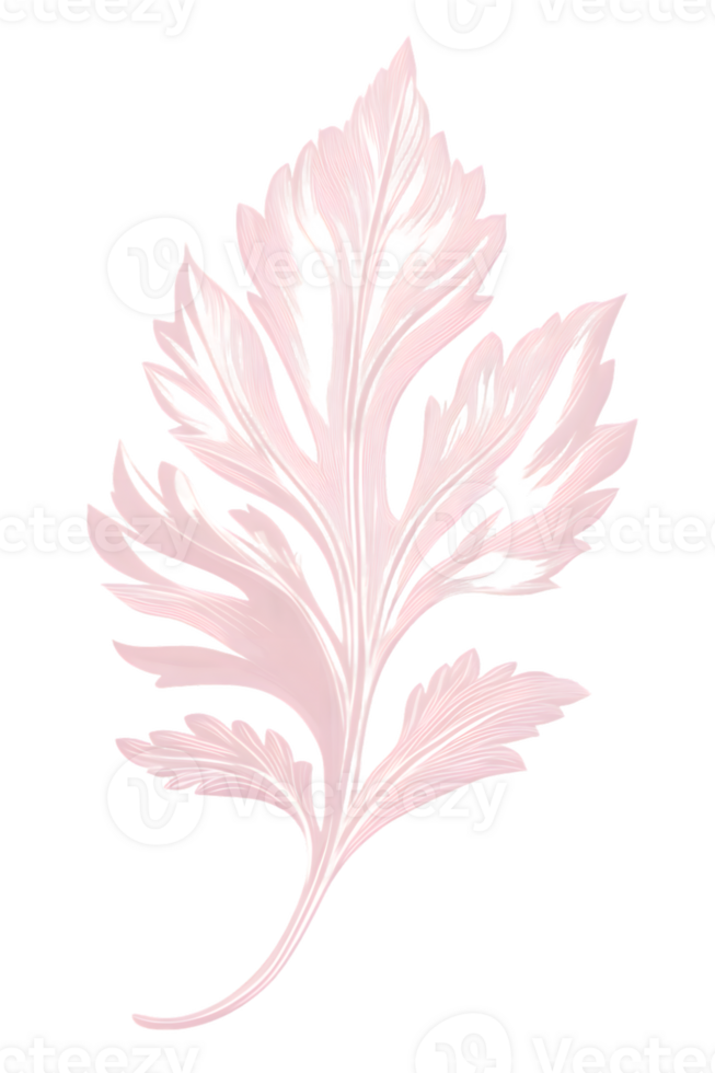 Delicate Pink Leaf with Intricate Details on Transparent Background png