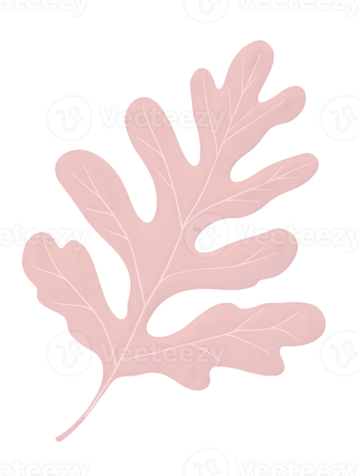 Pink Leaf Illustration on Transparent Background png