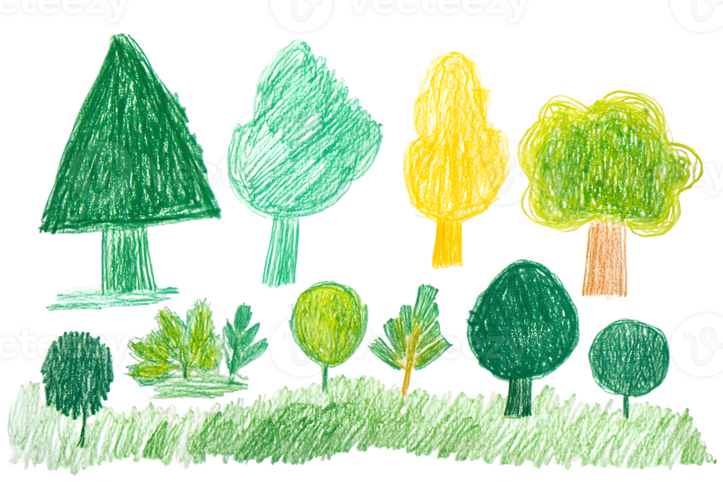 Colorful Crayon Drawings of Trees and Shrubs on Green Grass png