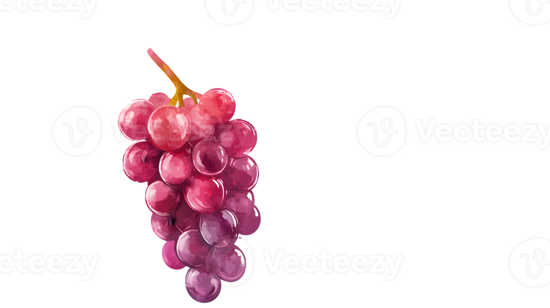 Watercolor Red And Pink Grapes on Transparent Background png