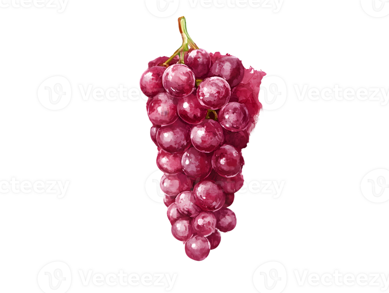 Watercolor Red Grape Cluster on Transparent Background png