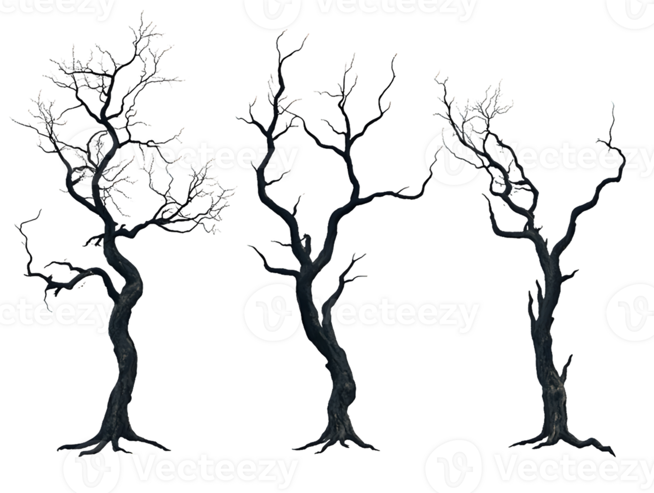Three Dark Gnarled Trees on Transparent Background png