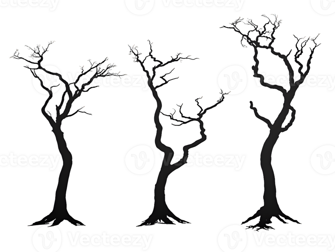 Three Silhouetted Trees on Transparent Background png