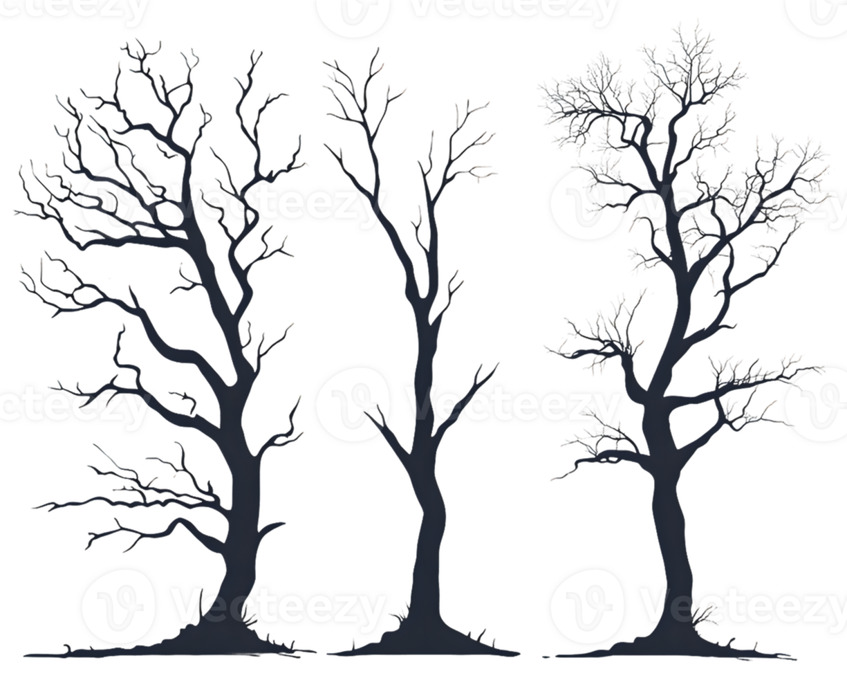 Three Leafless Tree Silhouettes Against a Transparent Background png