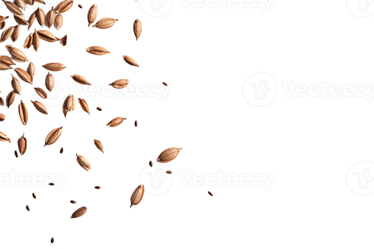 Brown Seeds Falling on Transparent Background png