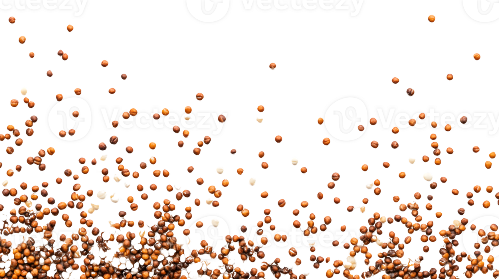 Brown and Beige Seeds Scattered on Transparent Background png