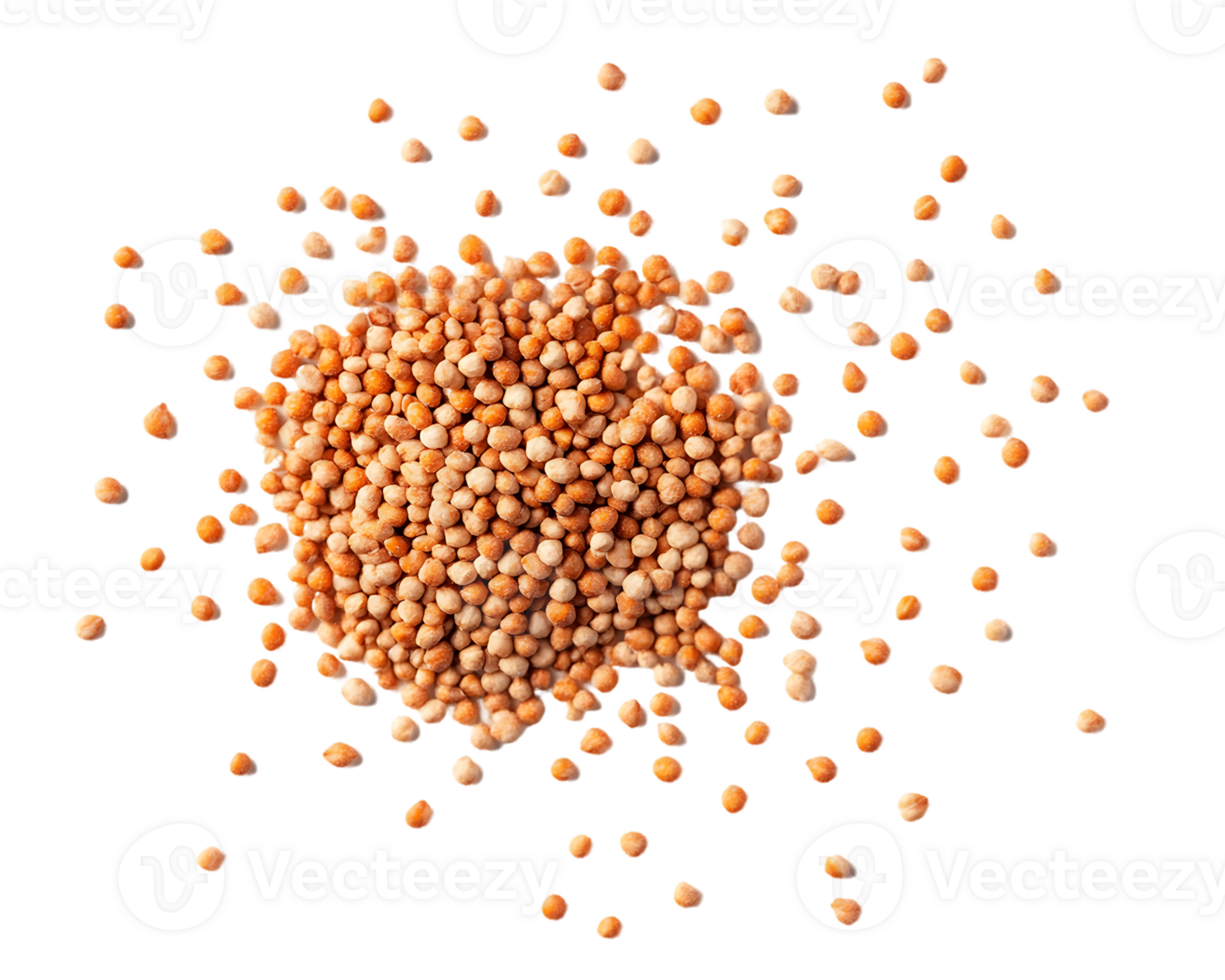 Light Orange Beige Seeds Scattered on Transparent Background png