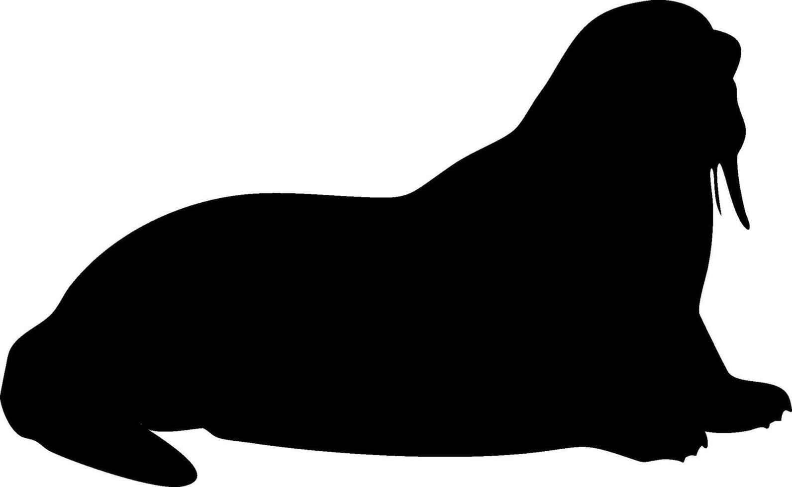 Walrus Silhouette Design of a Marine Animal in Black vector