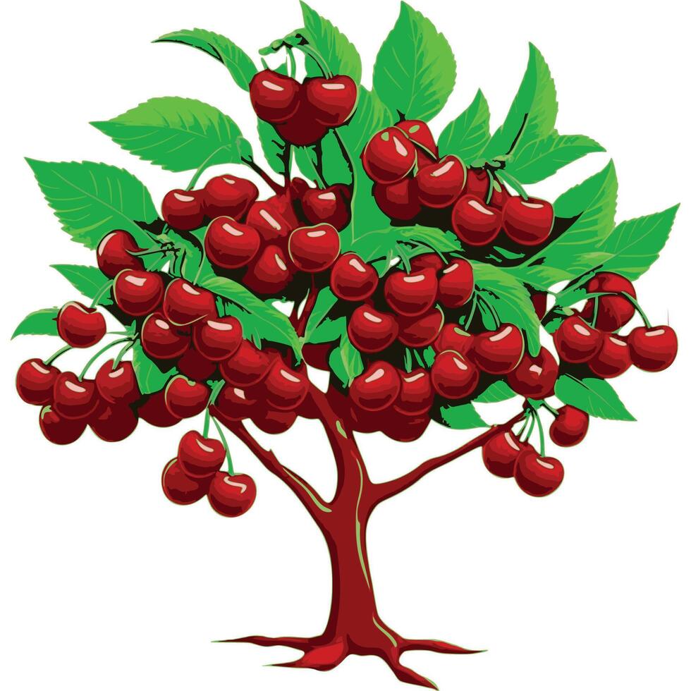 A vibrant cherry tree with lush green leaves and clusters of cherries vector