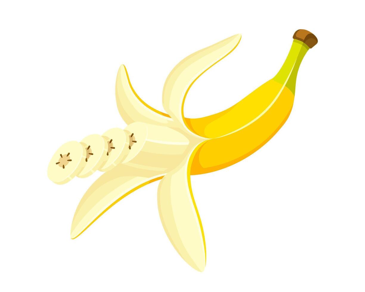 Opened banana isolated on white vector