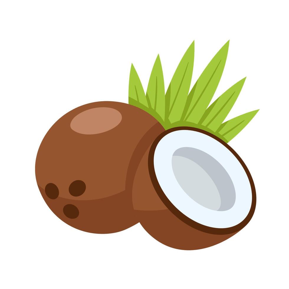 Coconut with leaf icon isolated on white vector
