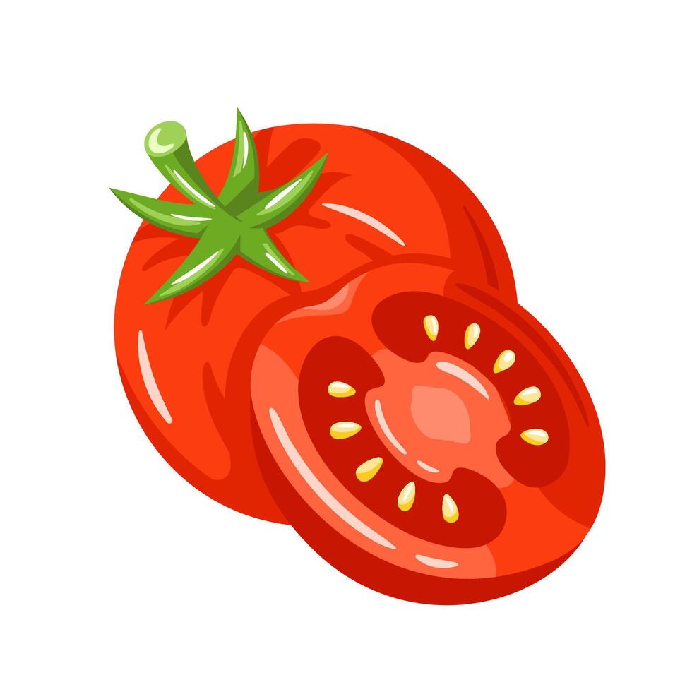 Tomato isolated on white background vector