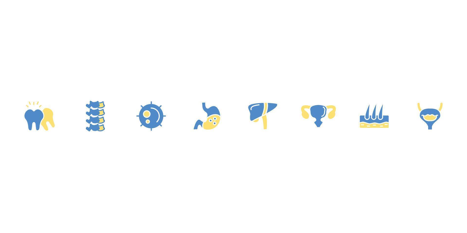 Anatomy icon set.Editable stroke.linear style vector