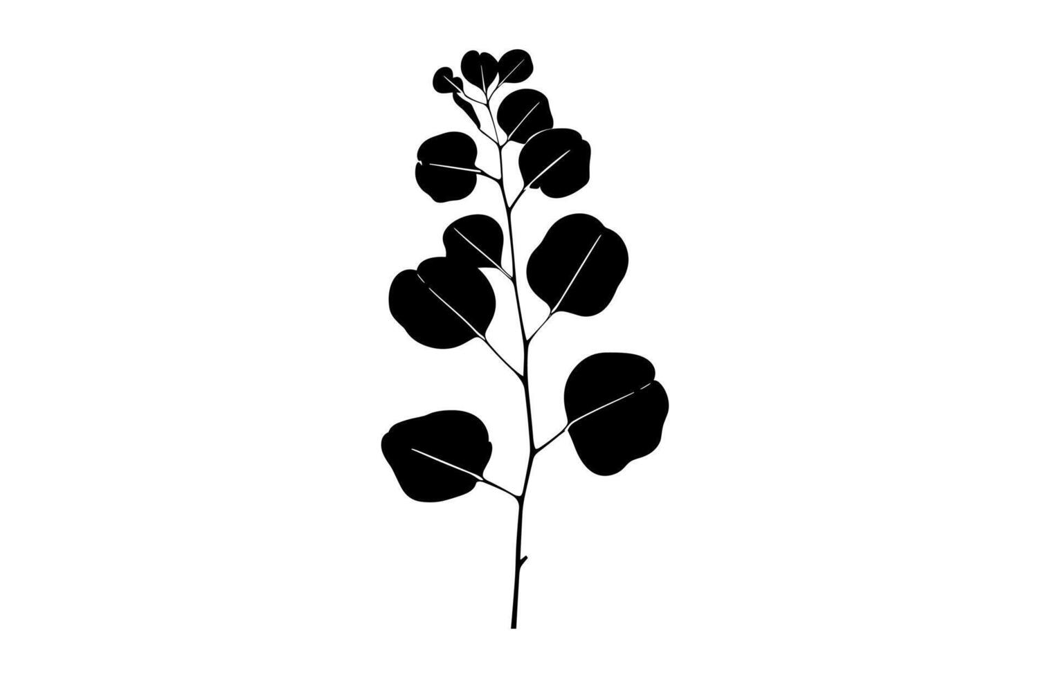 Eucalyptus Leaves Silhouette isolated on white background vector