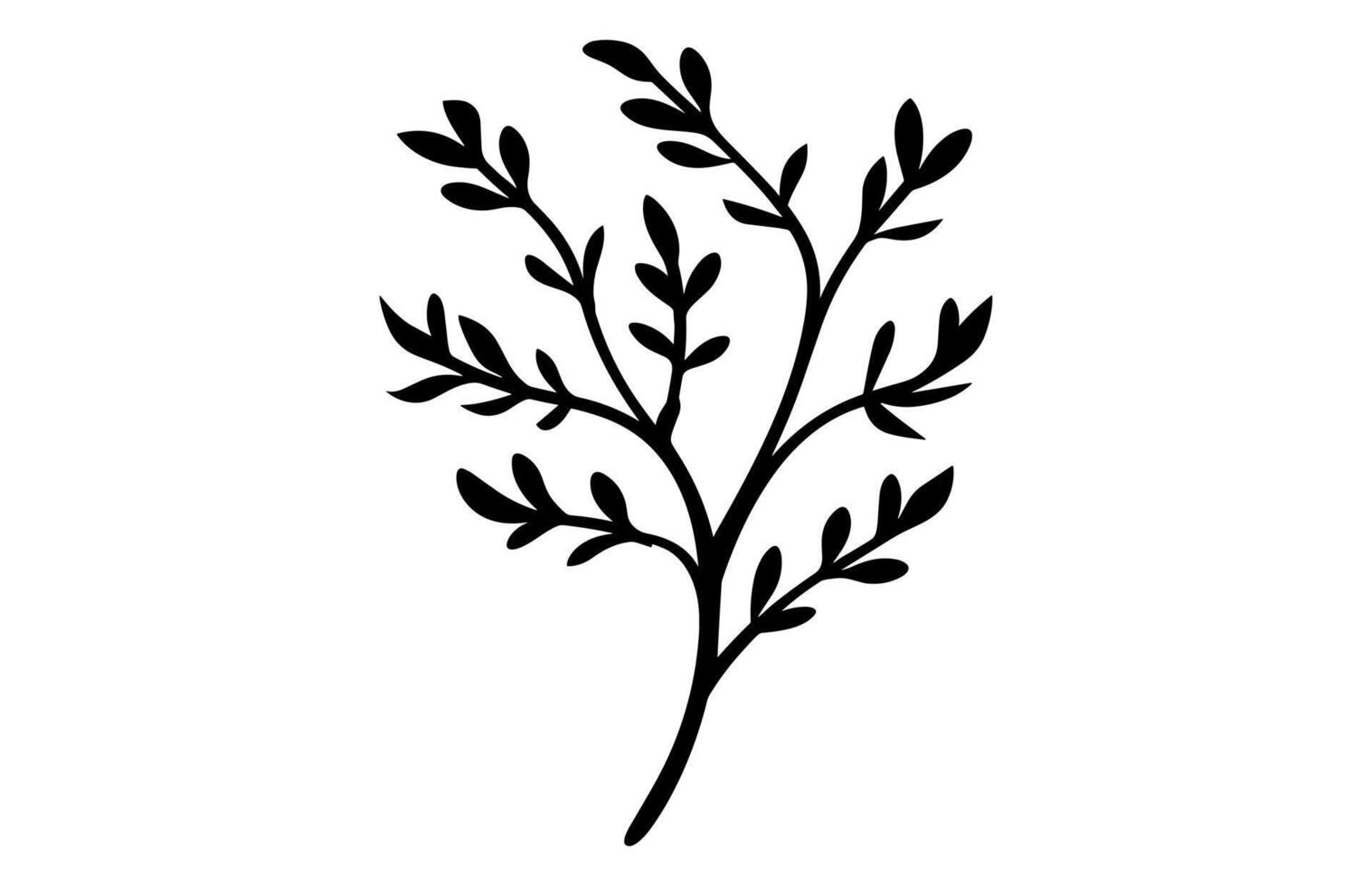 Thyme herb Black Silhouette isolated on a white background vector