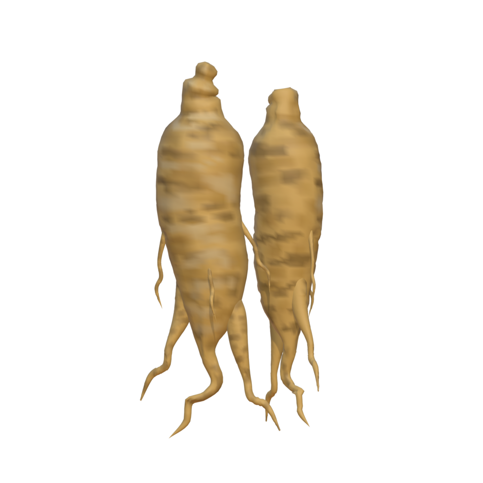 3d illustration of ginseng root with transparent background. Suitable for use as advertising media in the culinary, food and beverage fields png