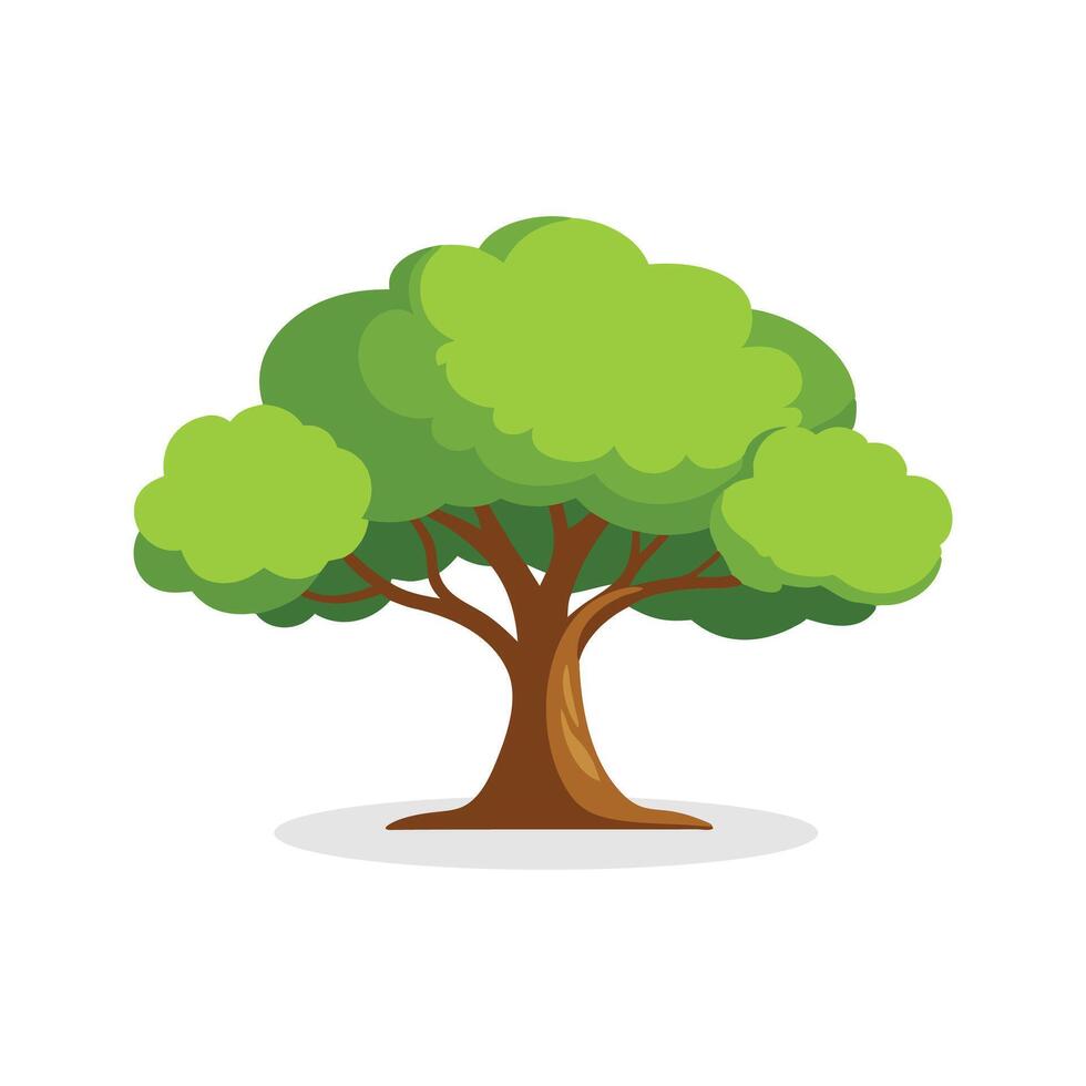 Nature Elm tree isolated flat illustration on white background. vector