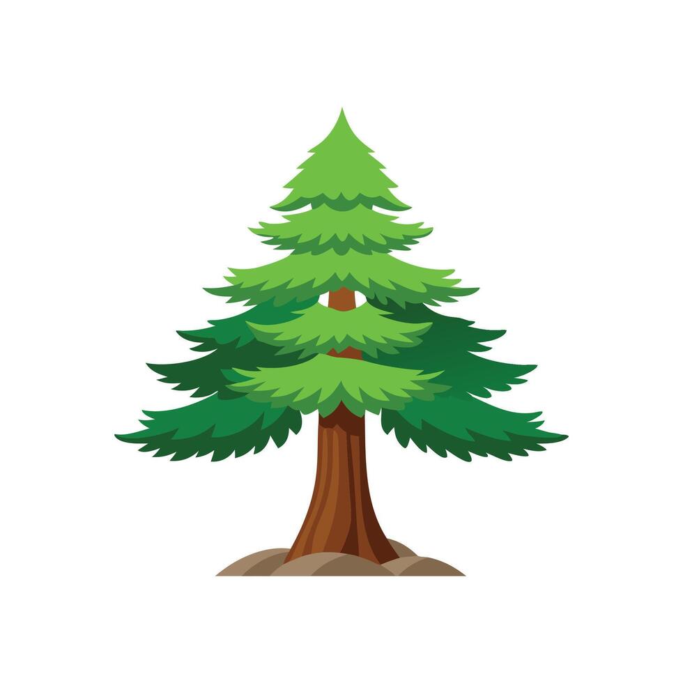 Cedar tree isolated flat illustration on white vector