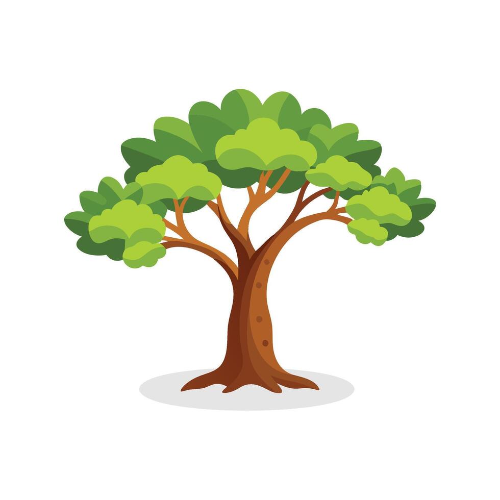 Fig tree isolated flat illustration on white background vector