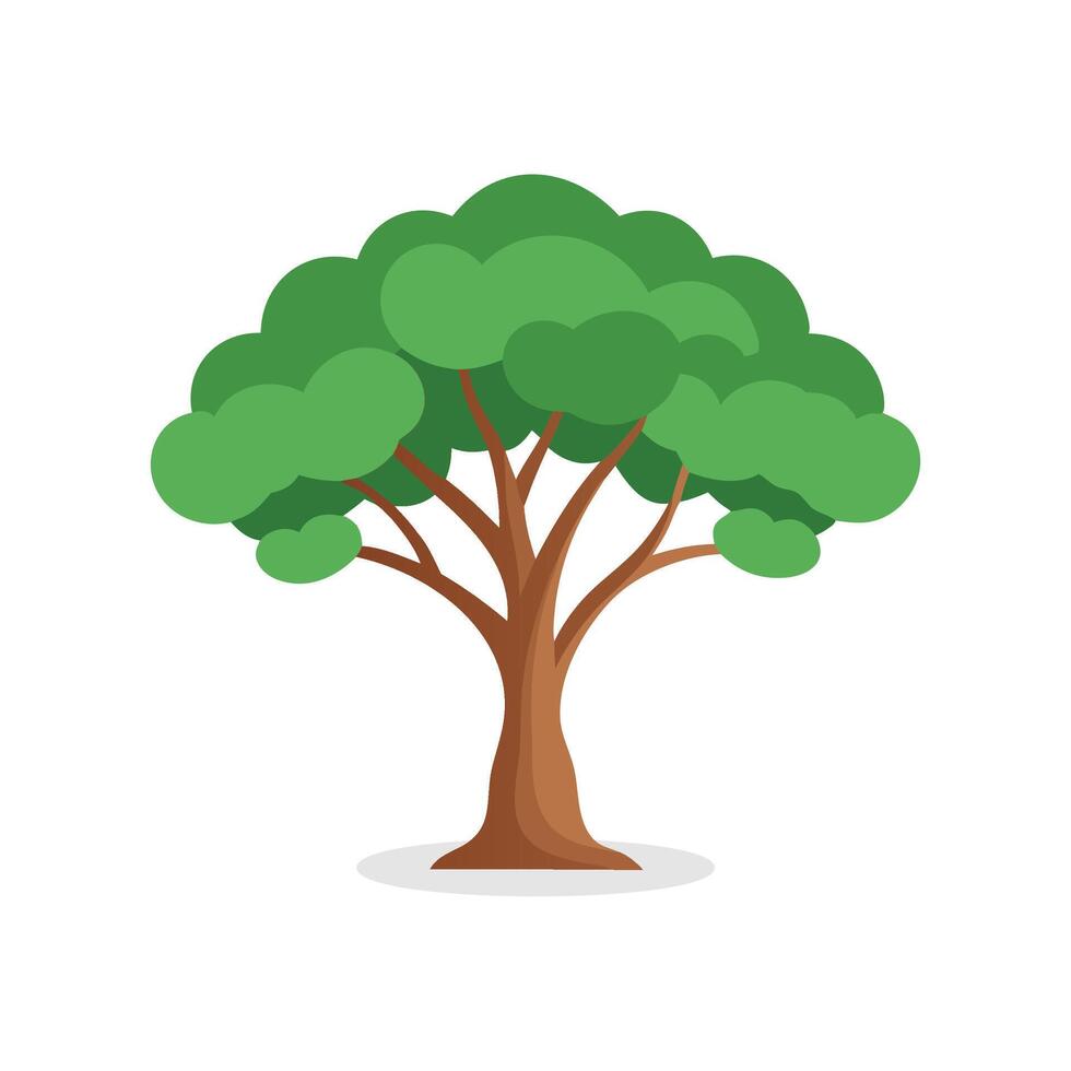 Eucalyptus tree isolated flat illustration on white background. vector