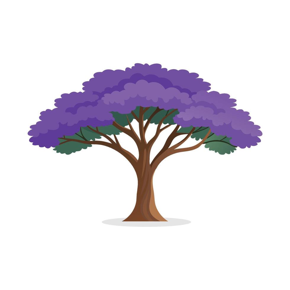 Jacaranda tree isolated flat illustration on white background. vector
