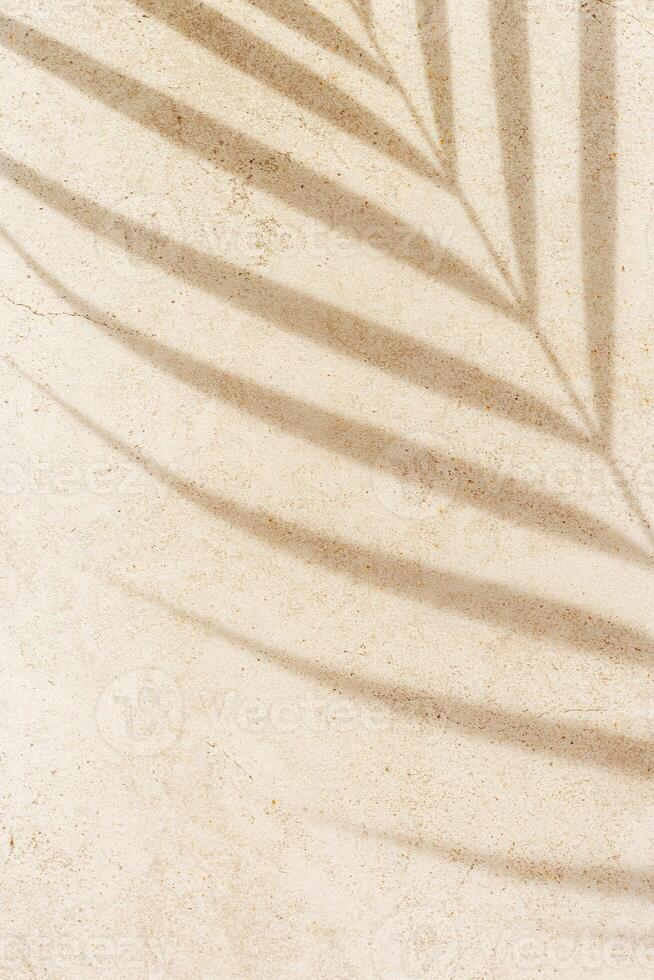 Palm tropical leaf shadow on textured concrete background neutral earth colored. Summer minimal style, sunlight. Beige monochrome summertime backdrop with plant sun shade with natural dark light photo