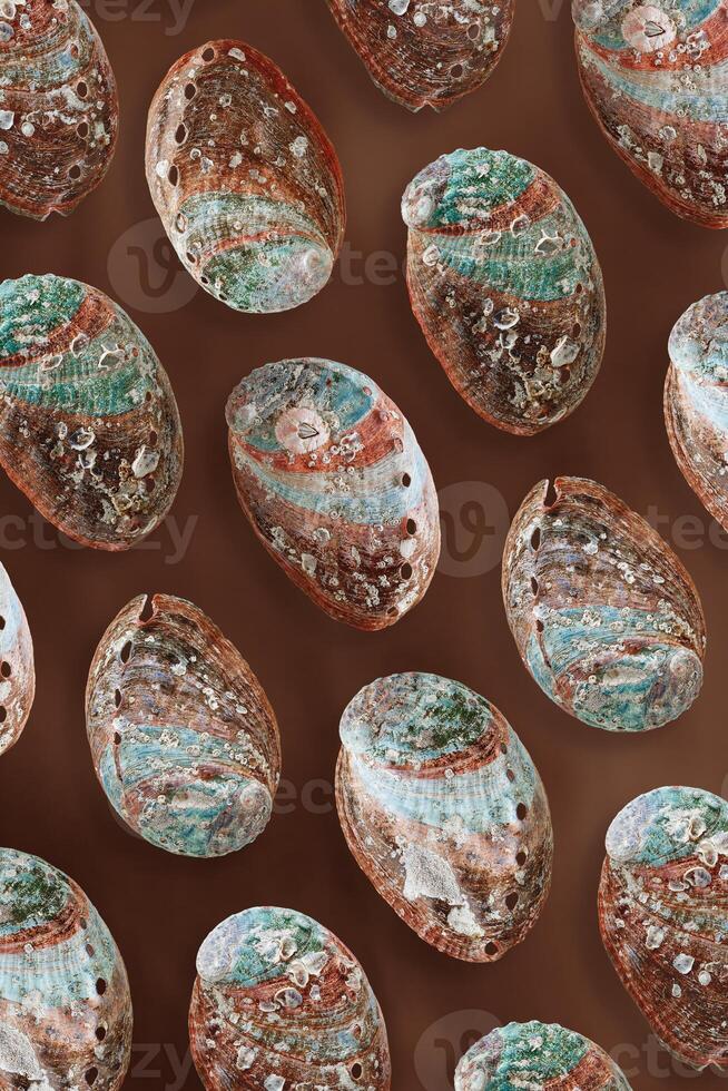 Minimal style marine pattern, shiny abalone shells, aesthetic top view background with natural textured oceanic seashells, vivid color abstract summer flat lay, sea and ocean beauty and nature photo