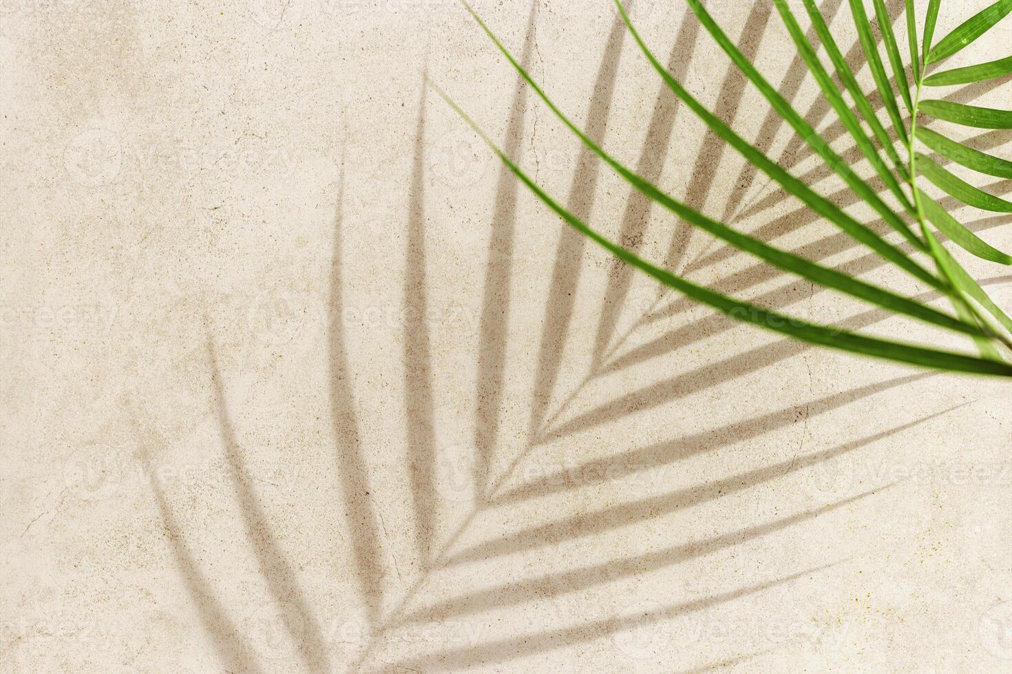 Summer minimal style background with shadow from natural palm leaf on light beige concrete background, hard light, copy space. Pastel colored aesthetic photo with palm shadows at sunlight.