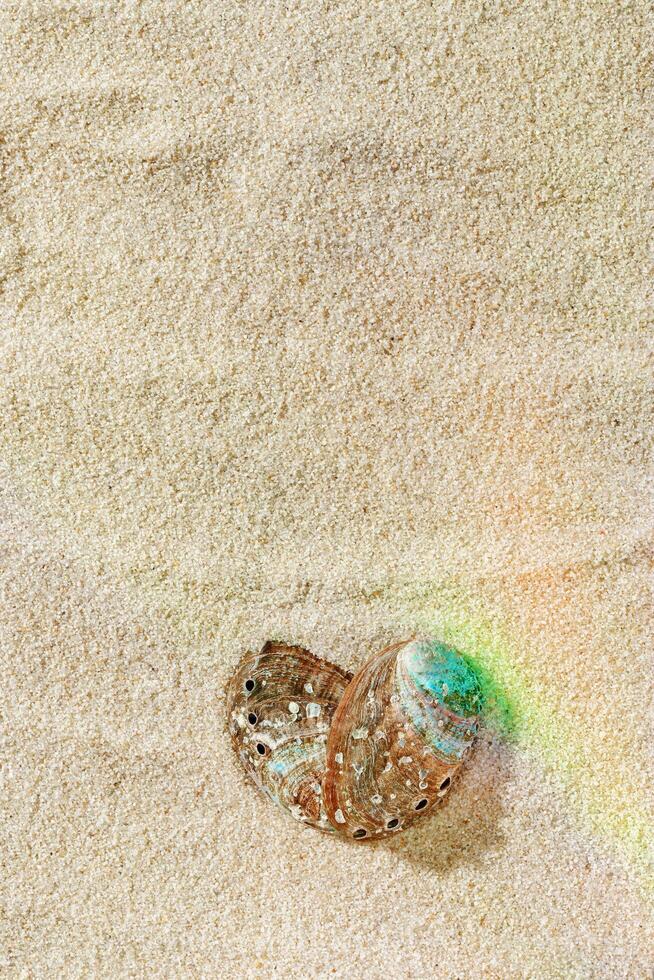Aesthetic minimal love summer sea holiday concept, seashells as heart on fine sand with sunlight rainbow flare. Top view colorful abalone shells on sandy textured background, blue green beige color photo