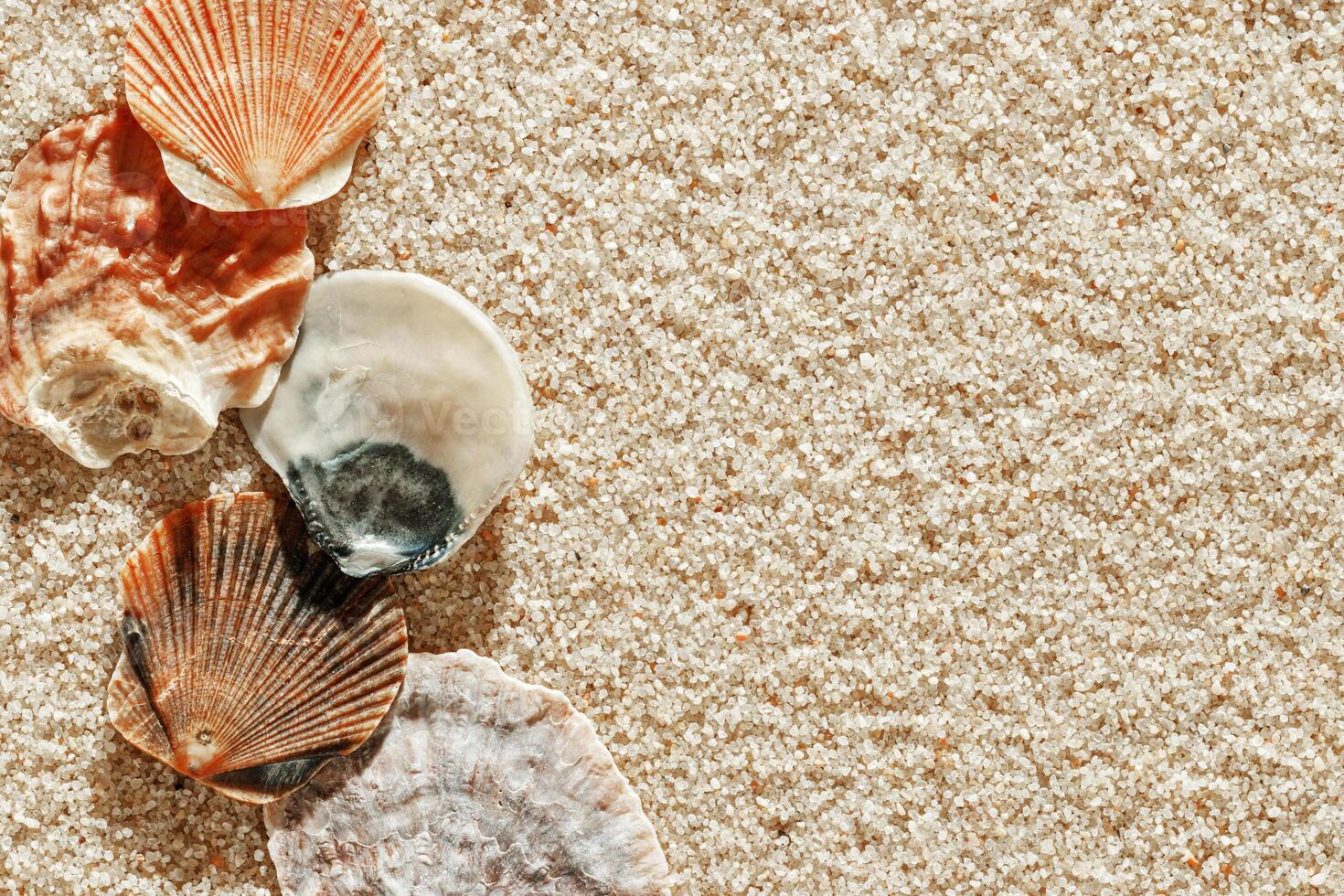 Minimal aesthetic seashells pattern beige sand, natural sea oceanic and summer textured background, summer relaxation, top view photo with delicate pastel colored shell, rest beach wallpaper