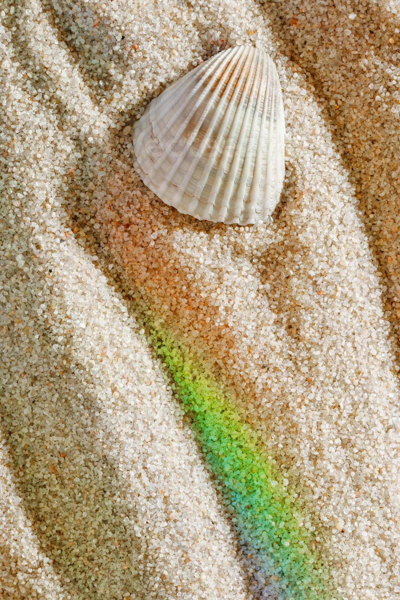 shell light ♡ seaside ♡ white シェルライト