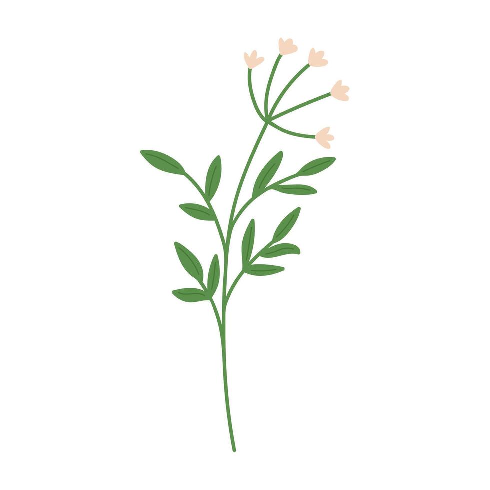 Hand draw rustic wild flower illustration. vector