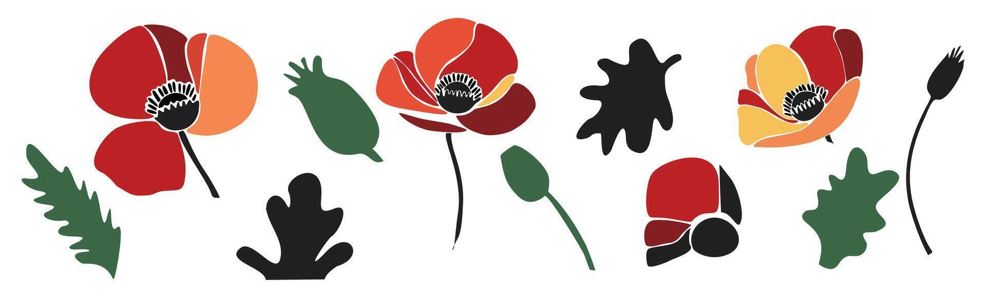 Set of colorful abstract poppy flowers and leaves vector