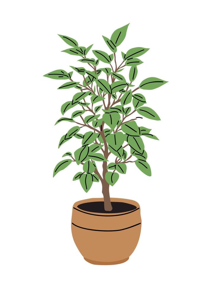 A plant in a pot is drawn in a cartoon style vector