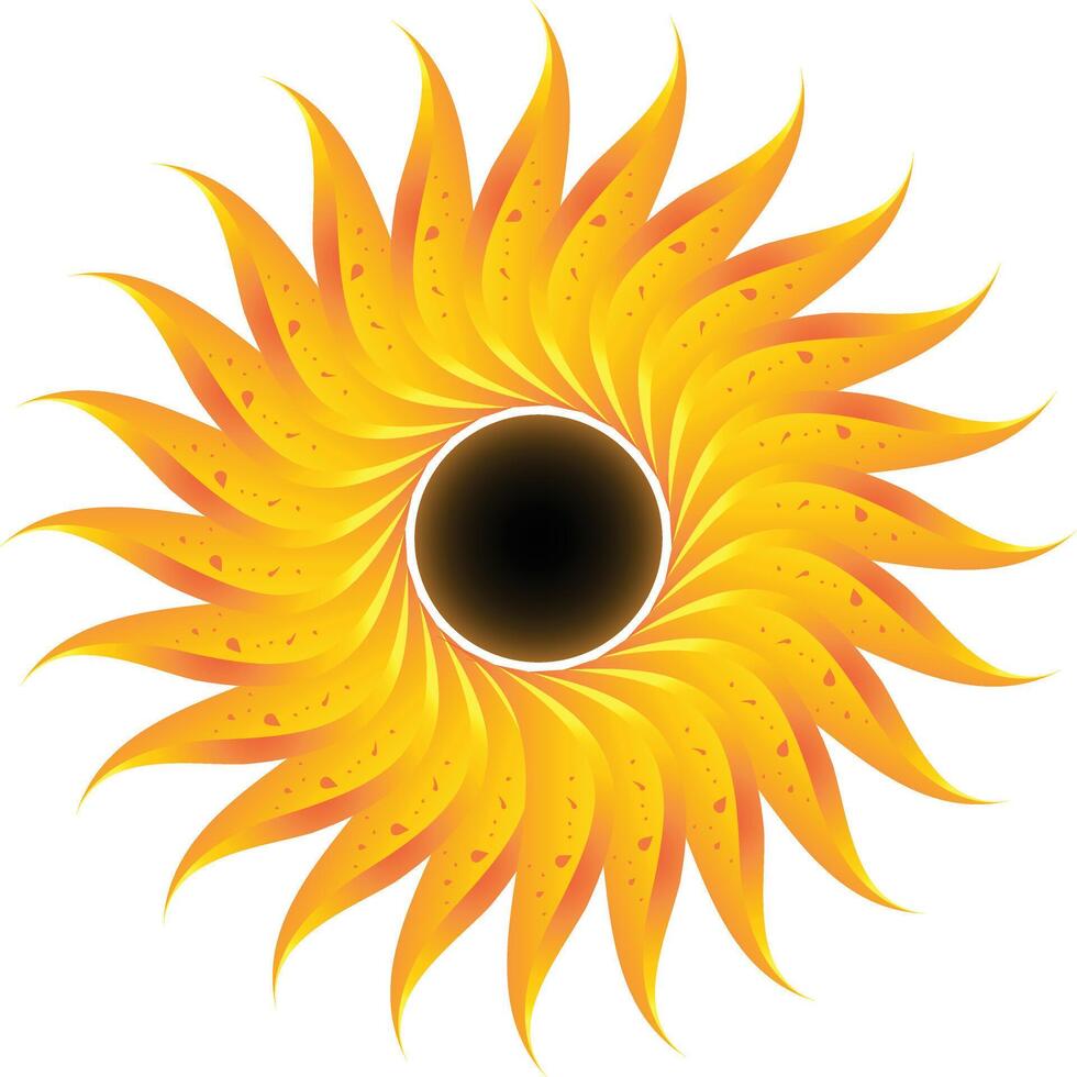 a sunflower sun burst illustration vector