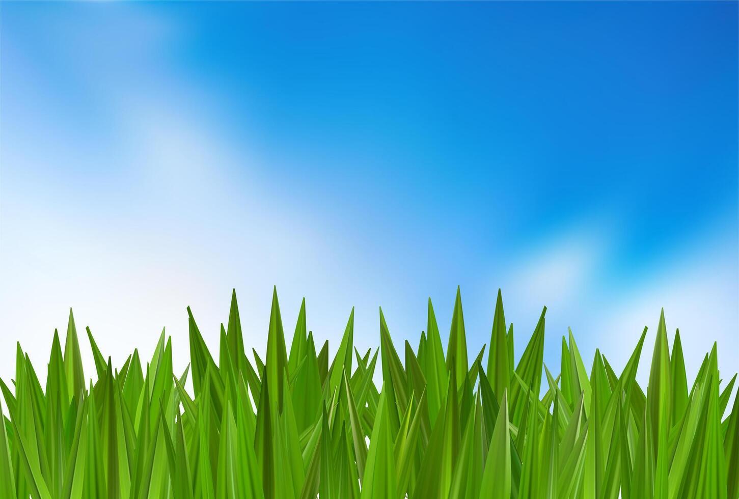 Green grass on blue sky background. spring summer field, cloudy sun landscape. Bush meadow lawn, nature plant garden border. Fresh 3d park texture abstract land sunrise. Easter day farm hill vector