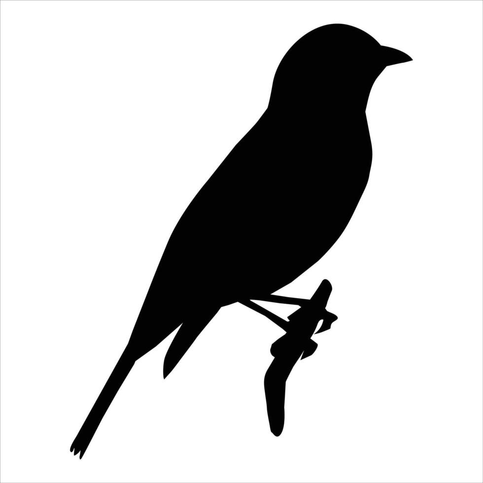 black bird silhouette icon vector