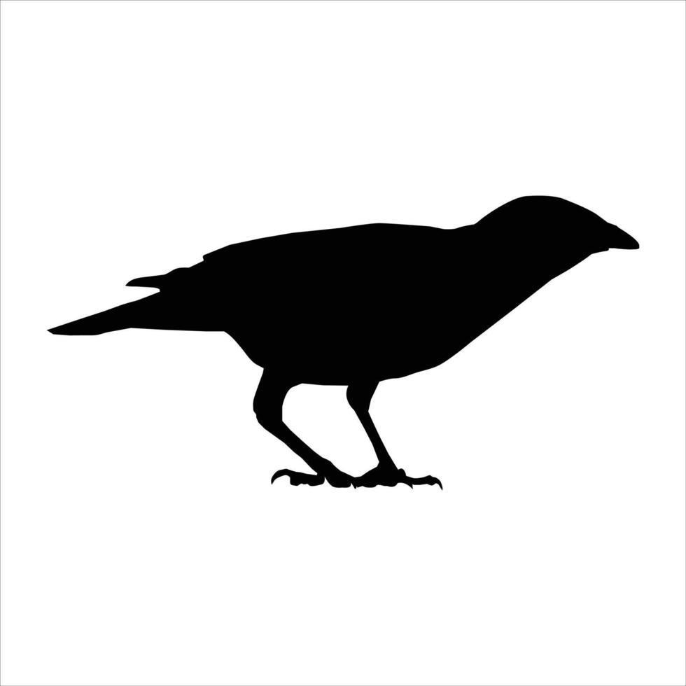 bird silhouette icon standing on white background vector