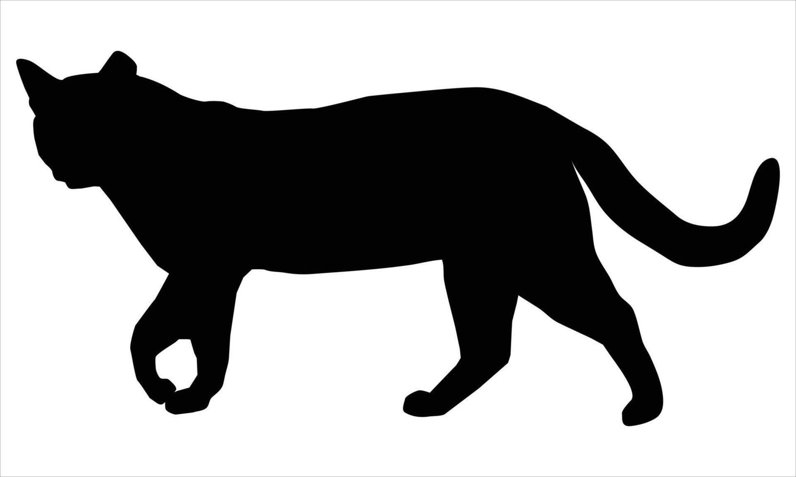 Isolated Cats on the white background vector