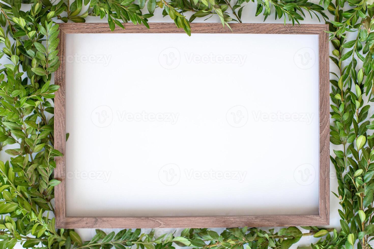 wooden frame with empty space and light green leaves background. photo