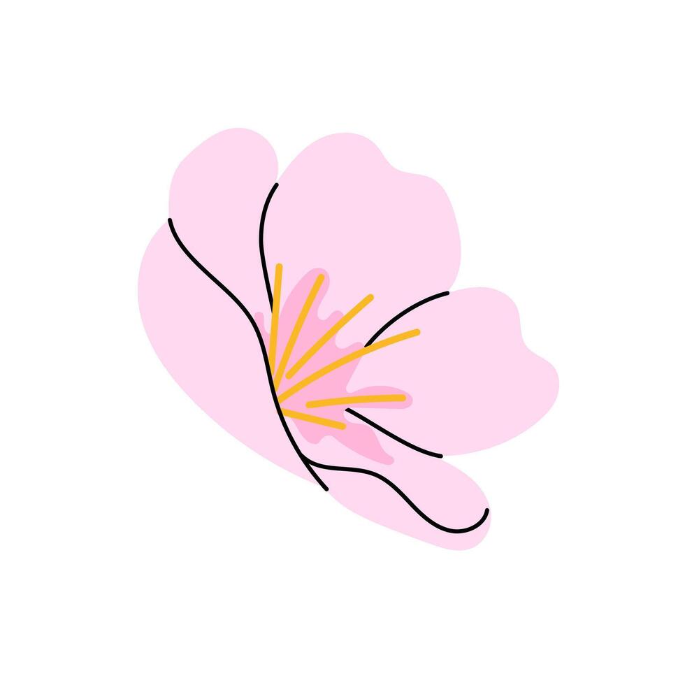 Blooming. Pink flower bud. Hanami. Sakura flower. Botanical element for spring festival. Flat illustration on white background. vector