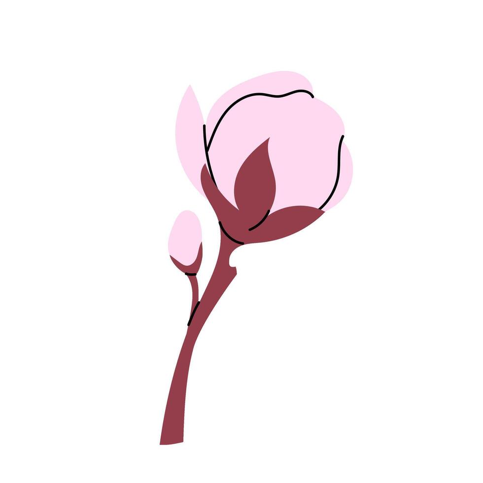 Botanical element for spring festival. Pink flower bud. Blooming. Hanami. Sakura flower of Japanese tree. Flat illustration on white background. vector