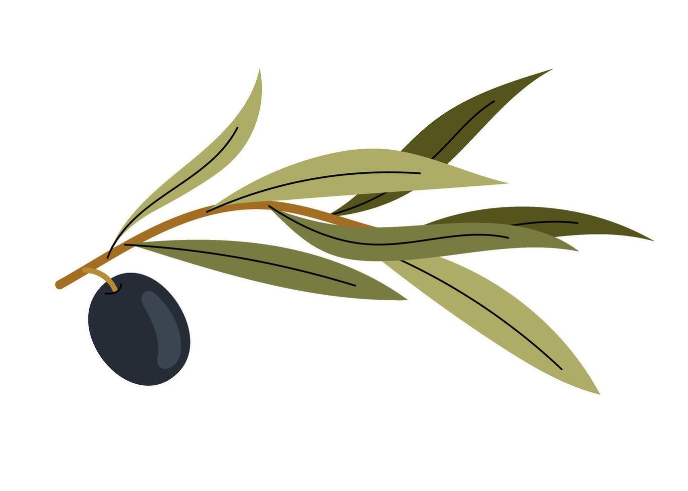 Simple and elegant olive branch drawing, isolated on white background. Hand-drawn olive branch. For designs food, creating logos, invitations, packaging. vector