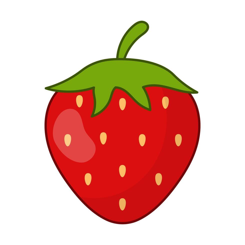 strawberry isolated on white background vector