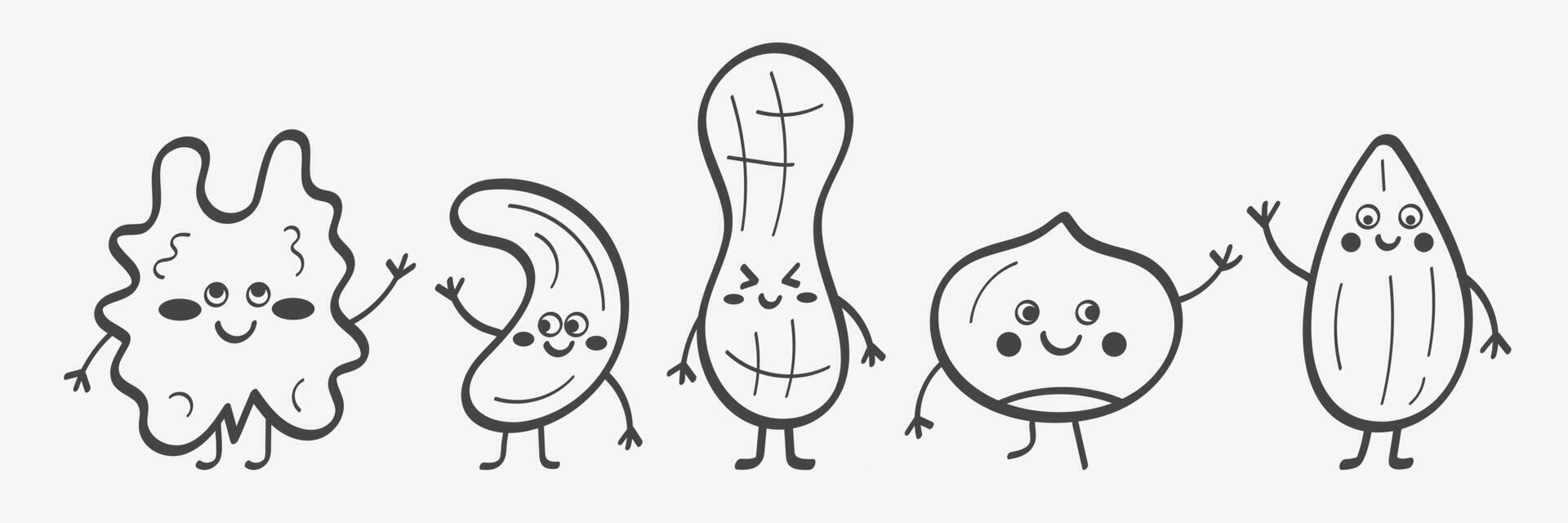 Sketch of cartoon smiling nuts. Funny characters. Organic healthy products for snack vector
