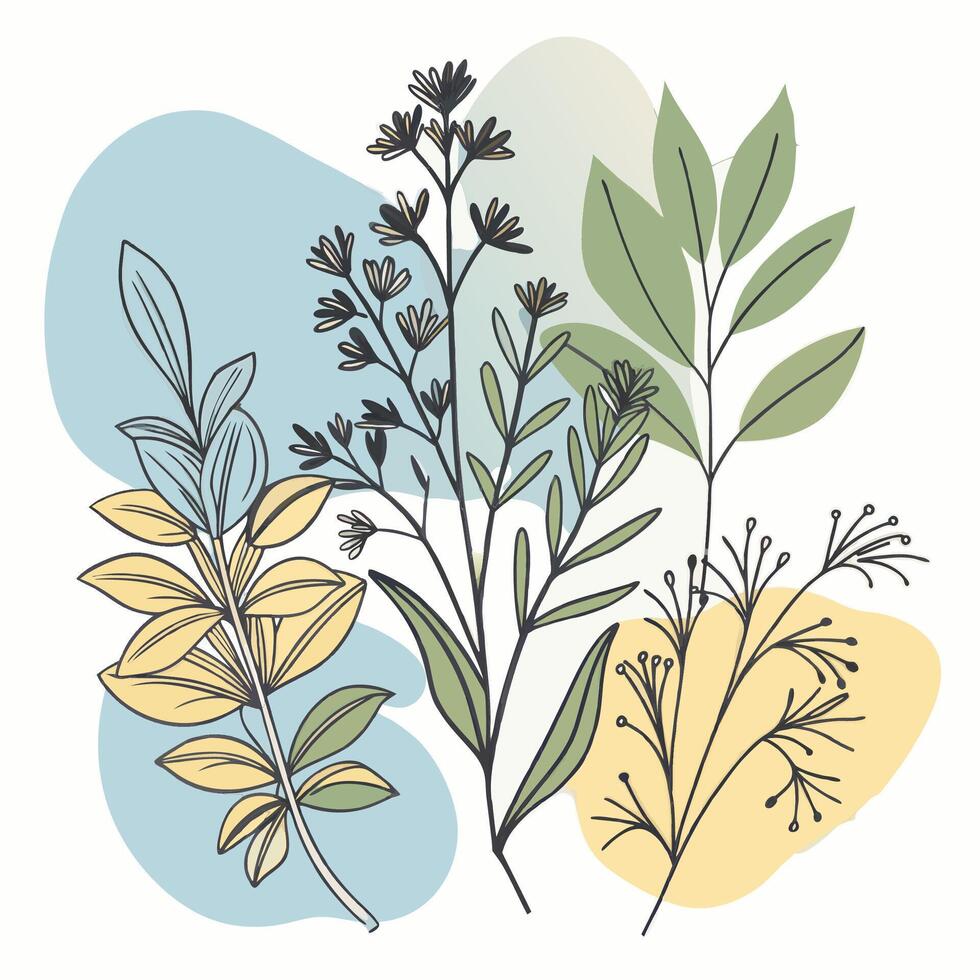 Minimalist herb illustration with sage and rosemary in muted greens vector