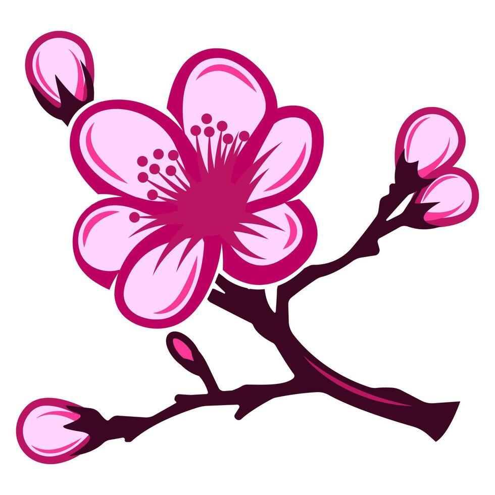 A delicate and elegant cherry blossom branch with soft pink petals symbolizing renewal and beauty in nature vector