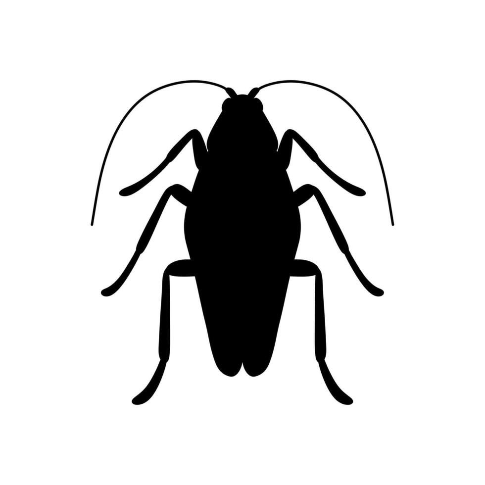 cockroach icon on white background vector
