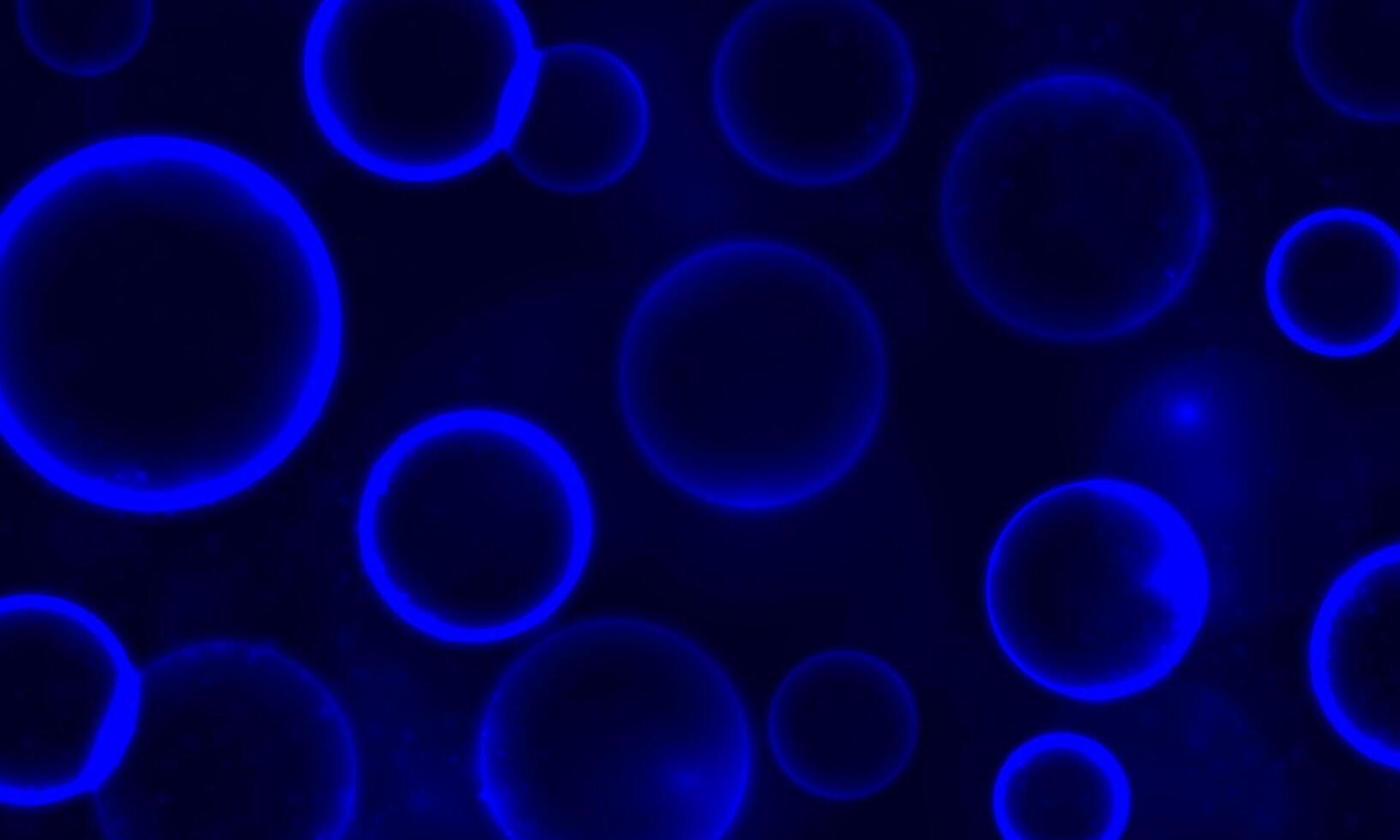 Abstract bokeh circles light blue background. dark blue spheres. vector